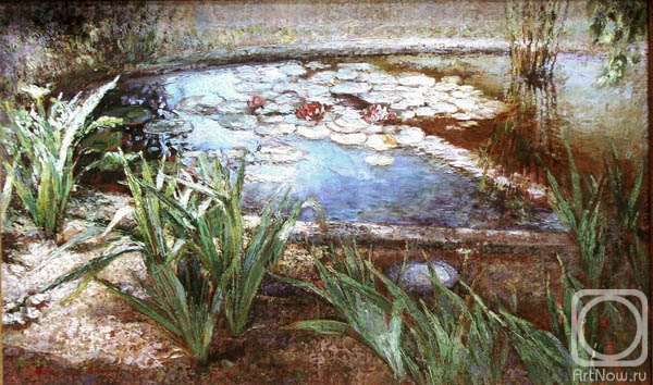 Podgaevskaya Marina. Pond with lilies