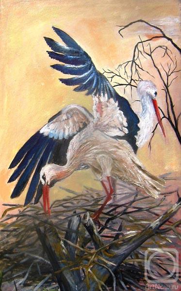 Peschanaia Olga. Stork, storks