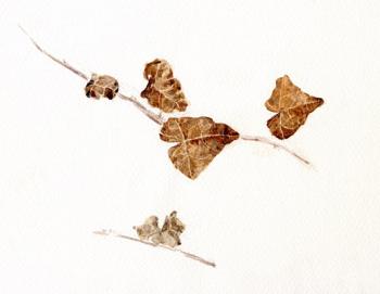 Dead Leaves