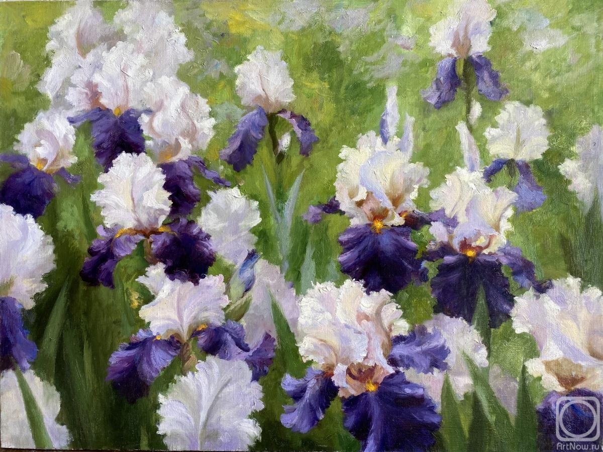 Nikolaev Yury. Irises
