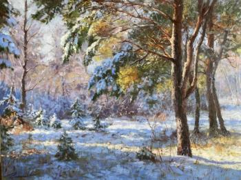 ������� ������������ ����