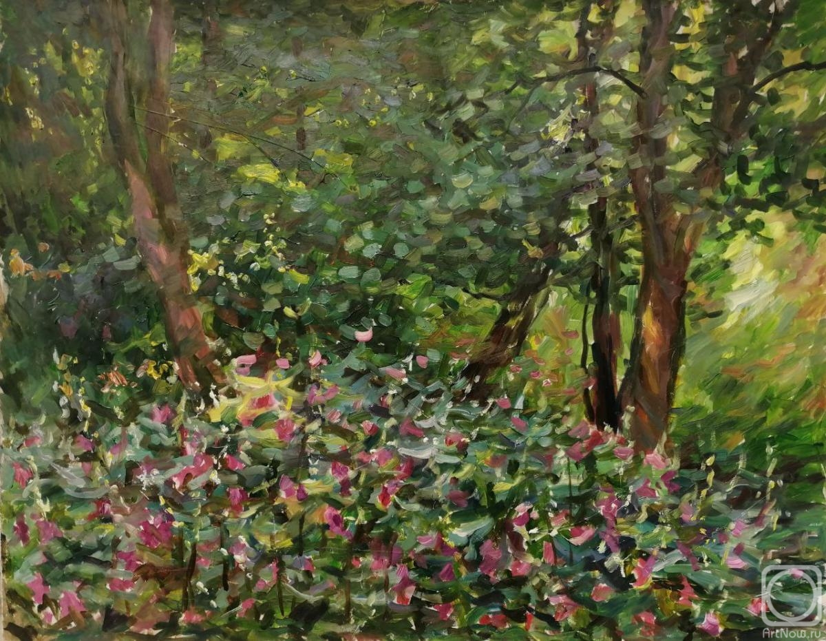 �������. ������ ��������. ������ ����������