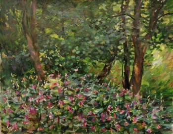 ������� ������� �����������