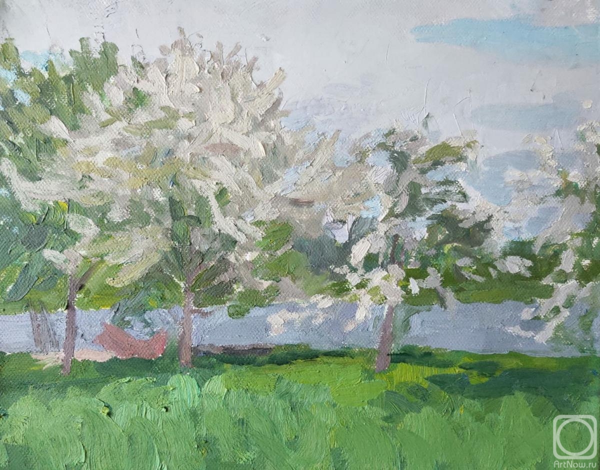 Yatsenko Ilya. Blooming apple trees
