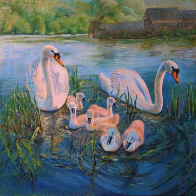 Swan family. Kudryashov Galina