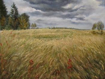 Borodino field. Our days (1812 ). Savelyeva Elena