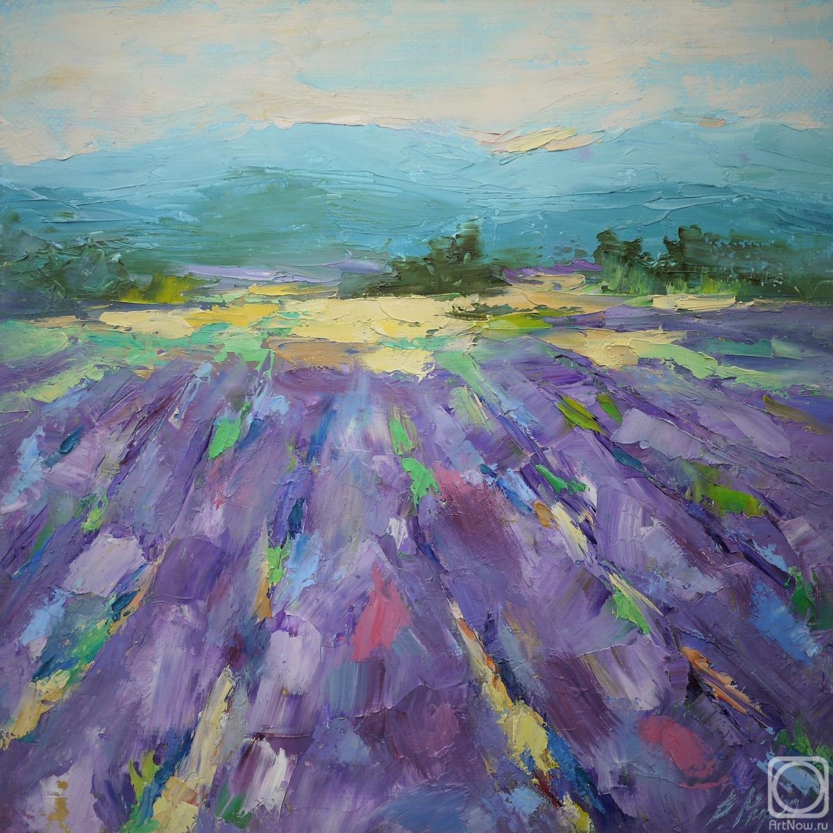 Mir Valentina. Lavender fields
