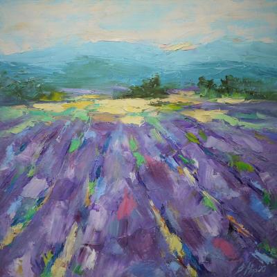 Lavender fields. Mir Valentina