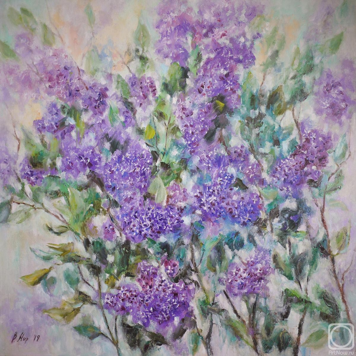 ������� ������ �� ������. ��� ���������. ������