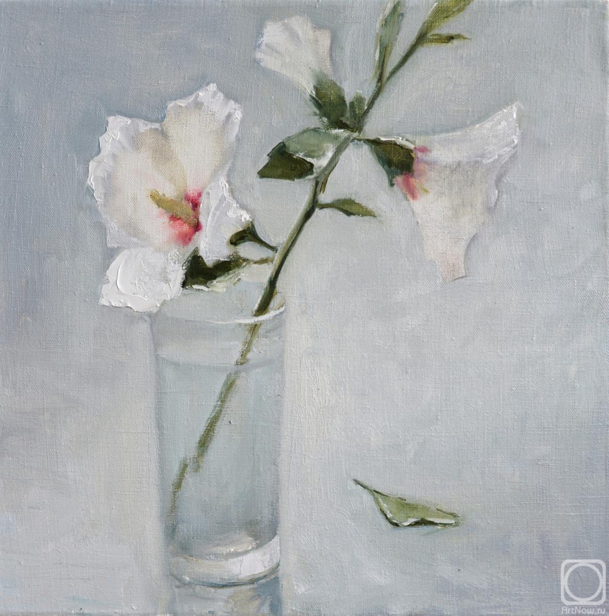 ������� ������ �� ������. ������� ������. ������� ���������