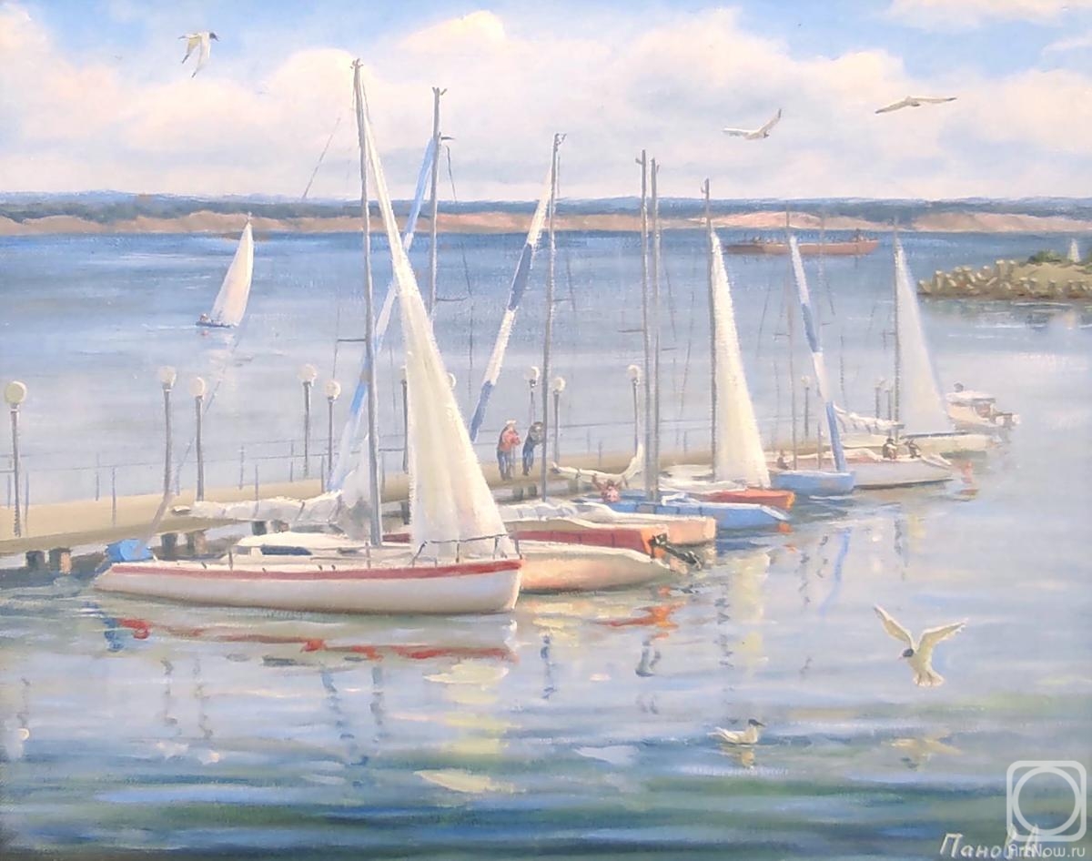 Panov Aleksandr. Ulyanovsk. Yachts at the pier