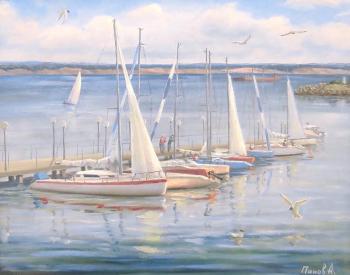 Ulyanovsk. Yachts at the pier. Panov Aleksandr