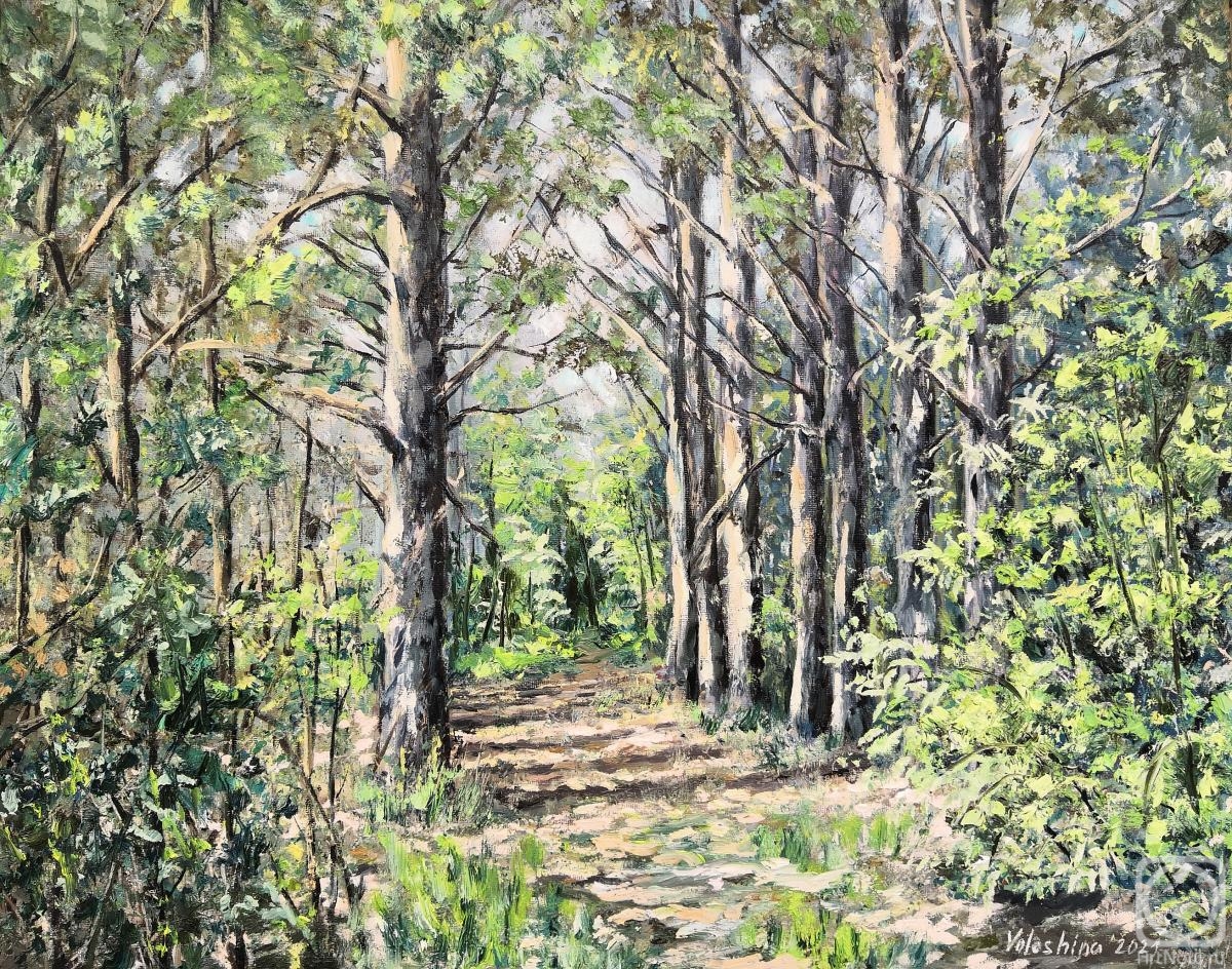 ������� ������ �� ������. �������� ���������. �� �������