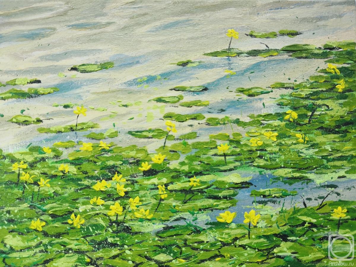 �������. �������� ���������. ������� ��� ��������