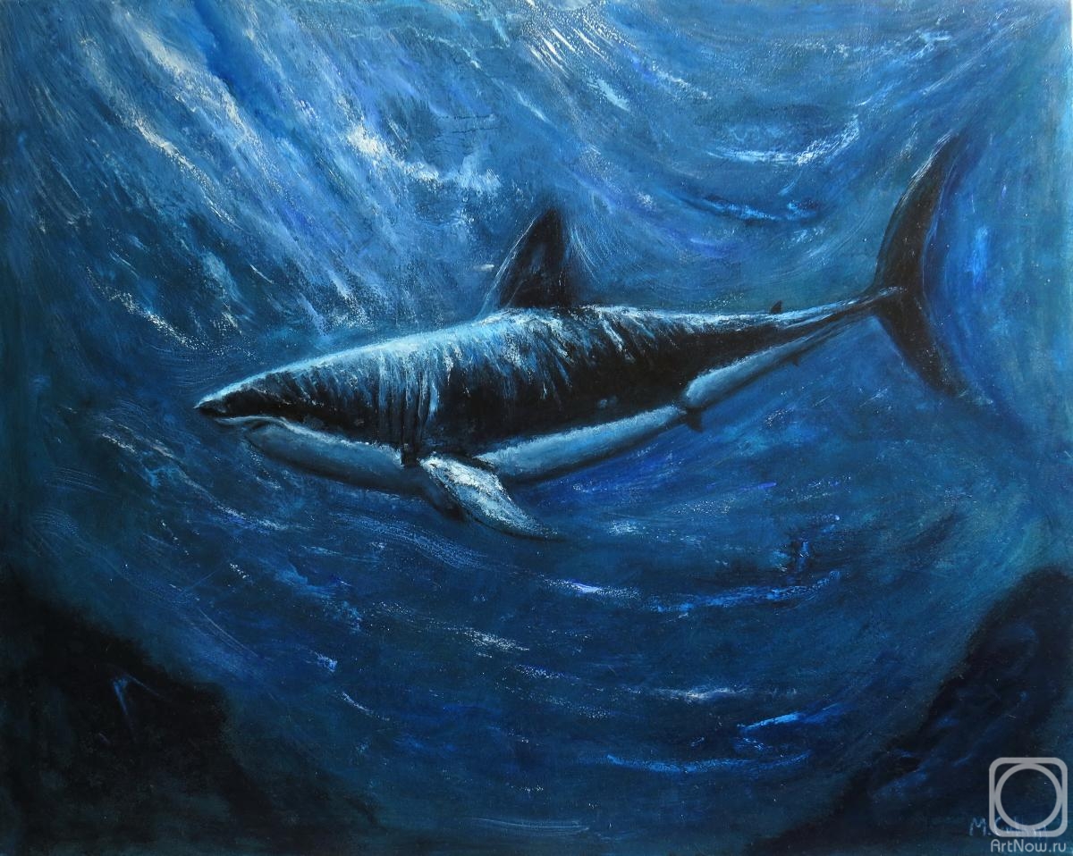 Gubkin Michail. Shark. Underwater world