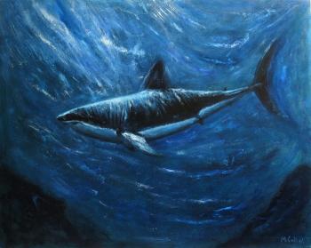 Shark. Underwater world (The Underwater World). Gubkin Michail