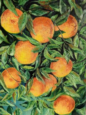 ������� �����������