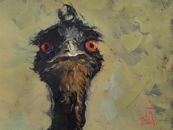 ������� �� �� �����