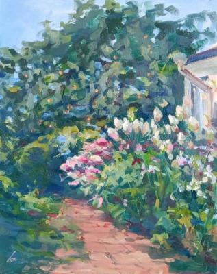 Hydrangeas in the garden (etude)