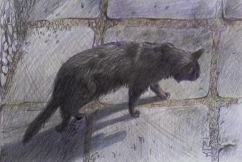 ������� ����� ����������...�