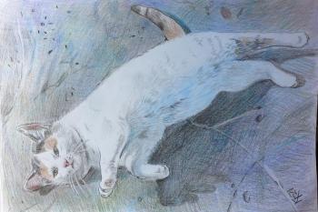 Cat is sunbathing (Tricolor Cat). Karaceva Galina