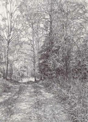 Forest path. Brodsky Alex