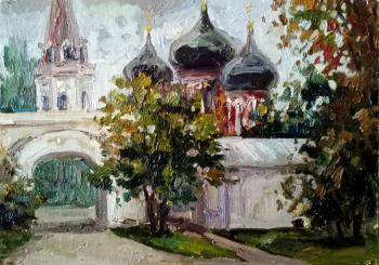 Mainly cloudy. Izmailovo