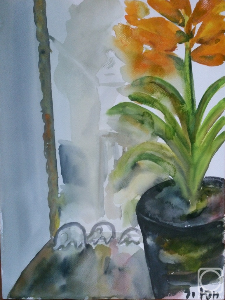 �������. ������ ����. ��������� � �������