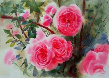 Untitled ( Bush Of Red Roses). Kalinina Nadezhda