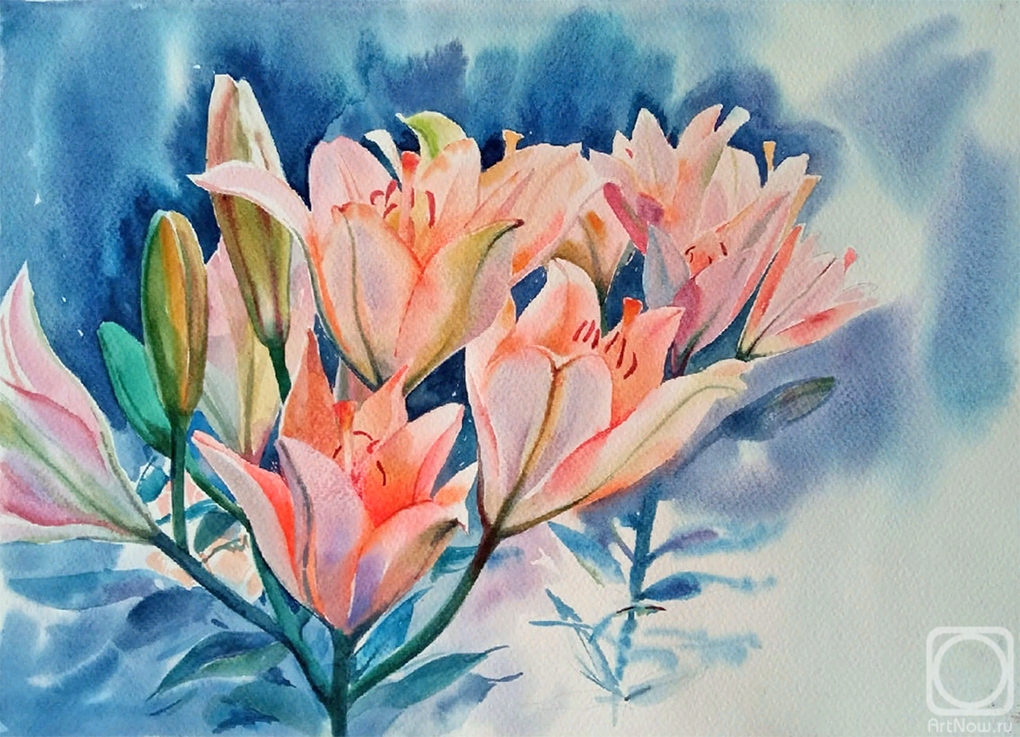 �������. �������� �������. �����