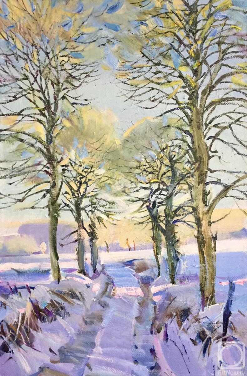 Sokolova Ekaterina. Willow