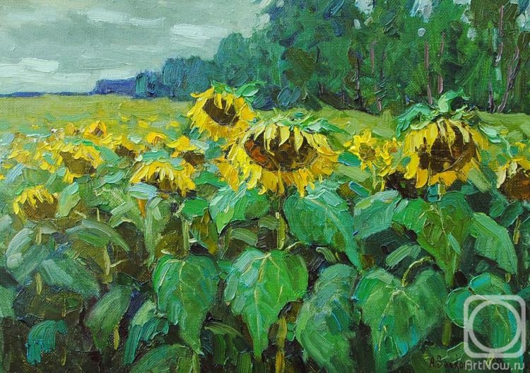 Vikov Andrej. Sunflowers