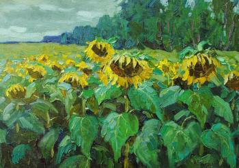 Sunflowers. Vikov Andrej