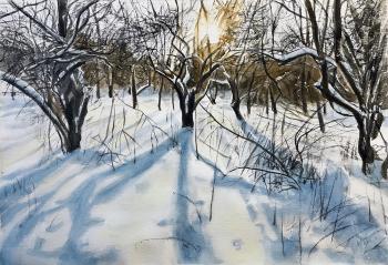 Winter sketch 2 (Walk In The Winter Forest). Zozoulia Maria