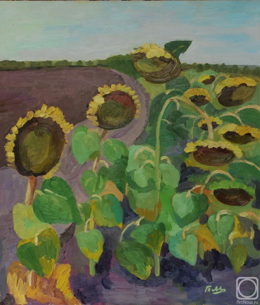 Yavisheva Tatiana. Ripe sunflowers