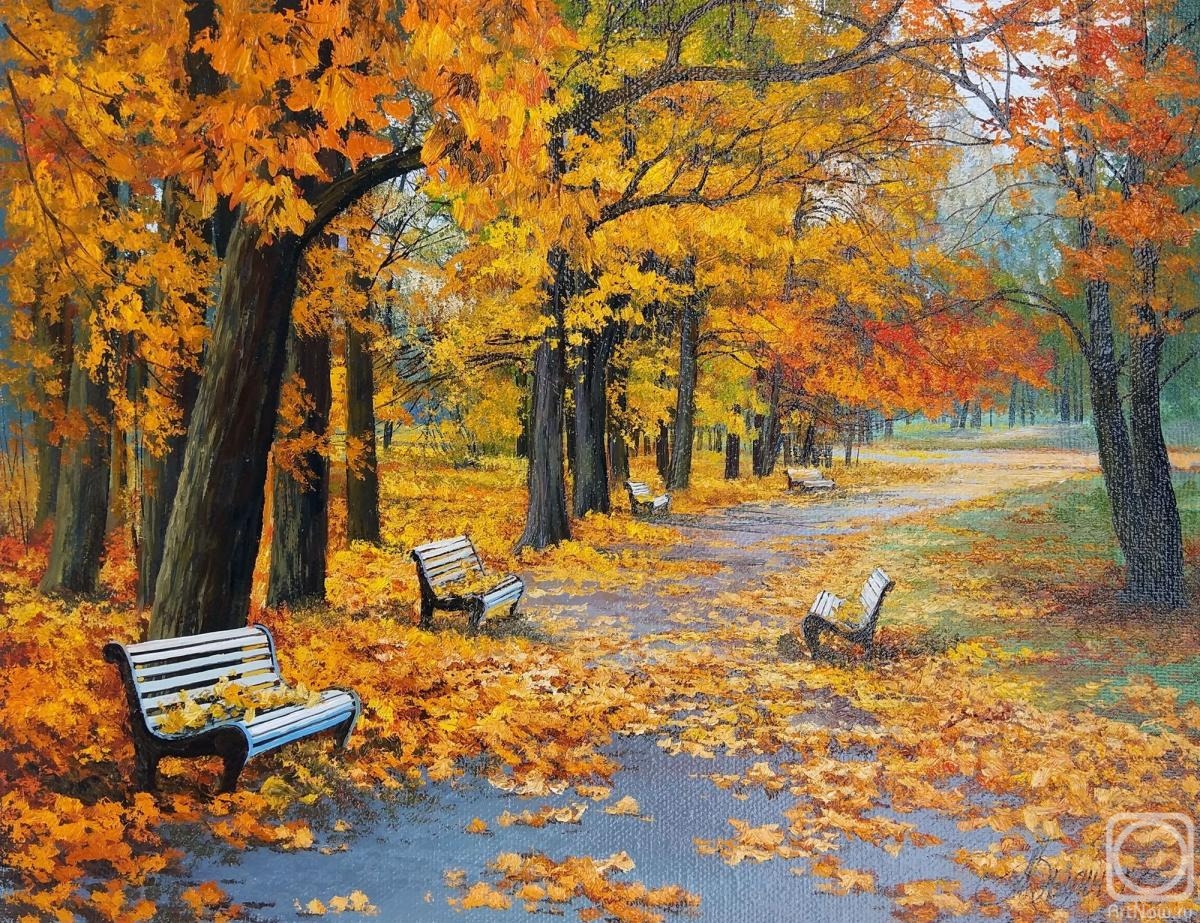 ������� ������ �� ������. ����� ���������. ������� ��� ��������