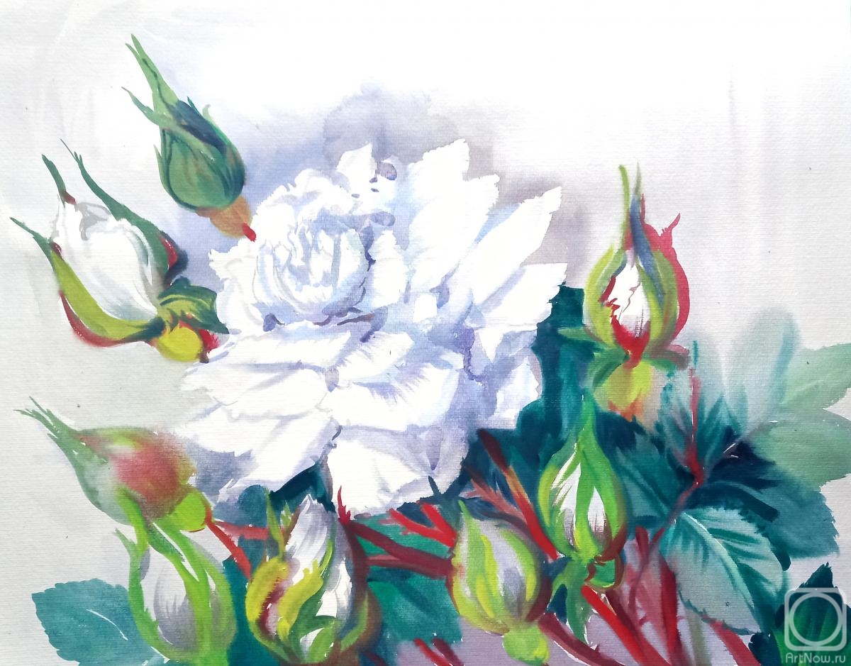 Mikhalskaya Katya. White rose