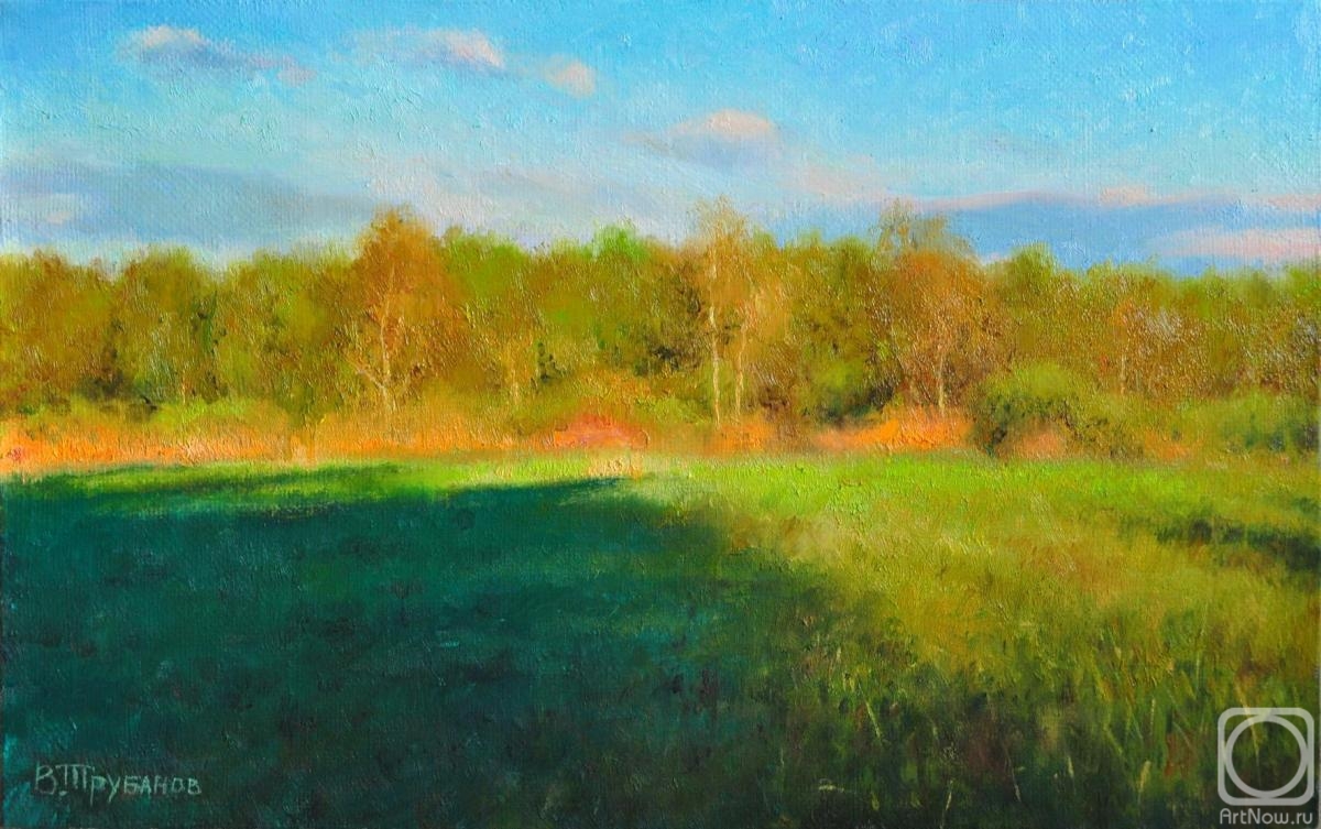 Trubanov Vitaly. Untitled