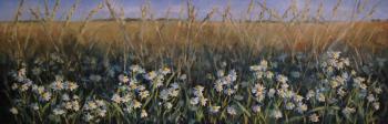 Daisies in the field. Rohlina Polina