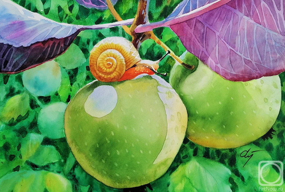 Stuliev Leonid. Snail