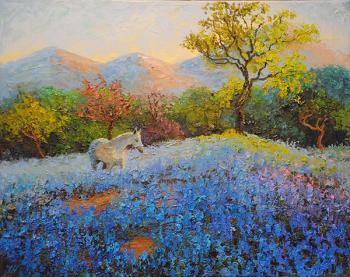  White horse and bluebonnets