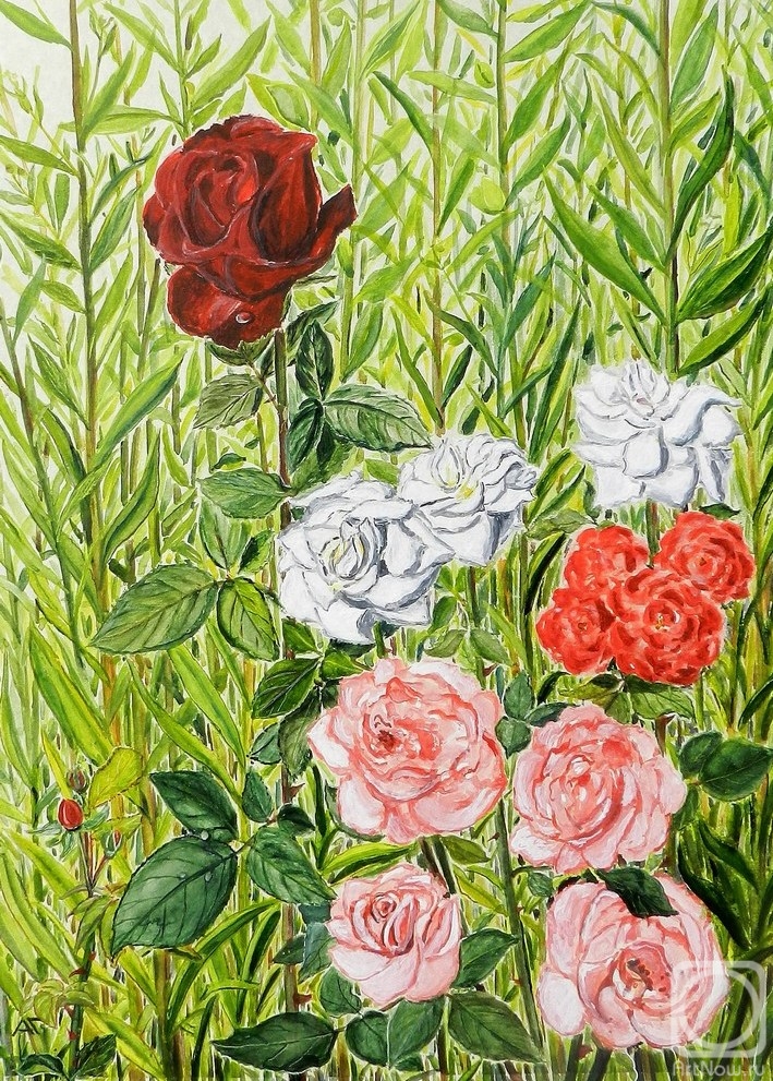 Gudkov Andrey. Roses
