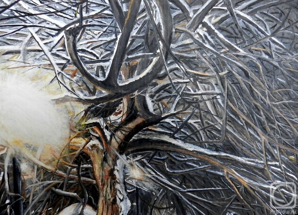 �������. ������ ������. ������