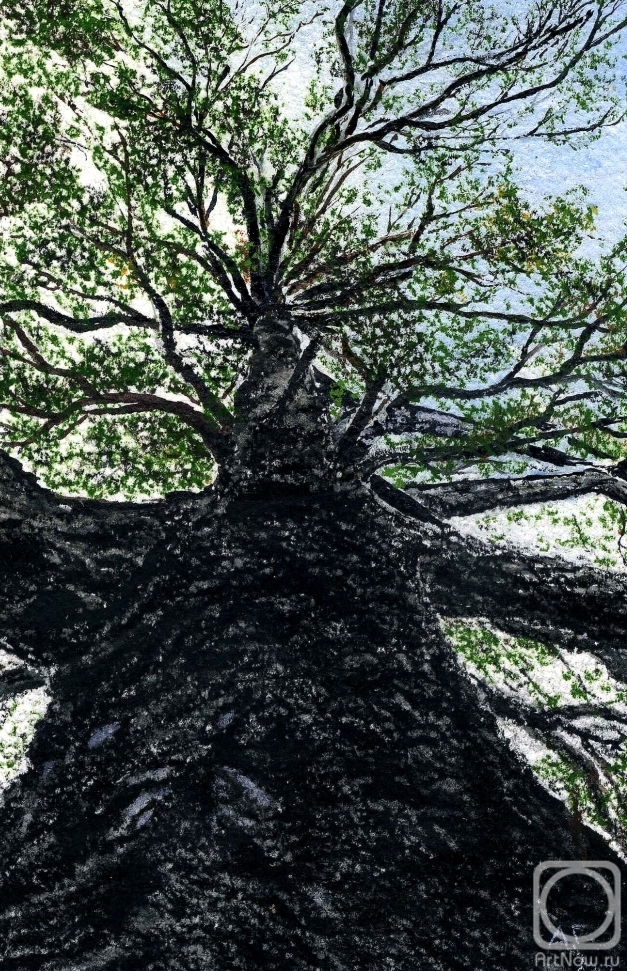 �������. ������ ������. �����