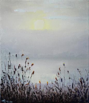 Dawn in the reeds (Sedge). Stolyarov Vadim