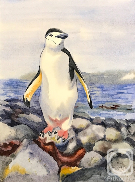 �������. �������� ������. �������