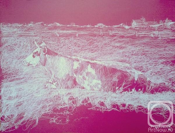 Konevskih Konstantin. Cow