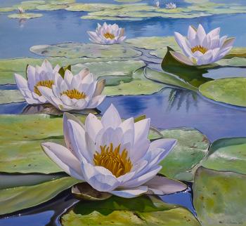 Water lilies. Zhaldak Edward