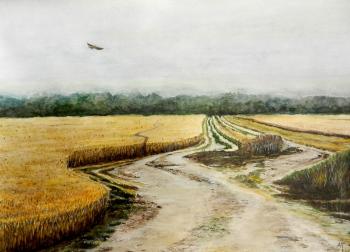 Road to a rye. Gudkov Andrey
