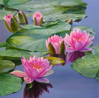 Water lilies. Zhaldak Edward